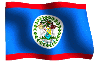 belize flag